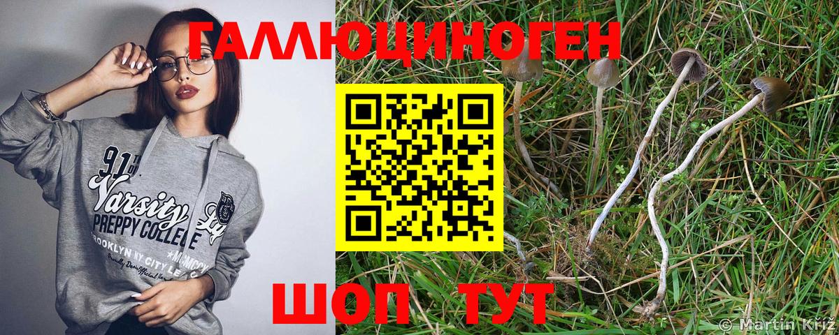 Галлюциногенные грибы Magic Shrooms Киржач